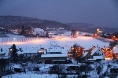 x-Winter-Gleiszellen1402